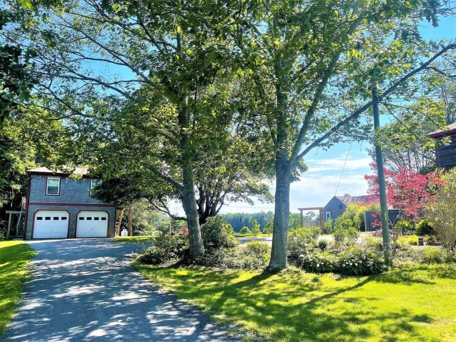 2 Bedroom Home W/ Pondside View Backyard Maine Escape Bar Harbor Eksteriør billede